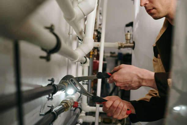 Best Plumbing Services Near Me  in Lake Leann, MI