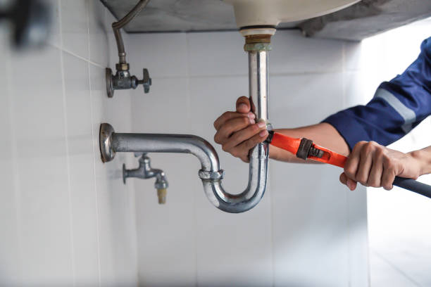 Best Plumbing Repair Near Me  in Lake Leann, MI